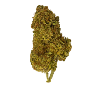 Image shows an elegantly trimmed cannabis bud. Sweet Venom is the strain name